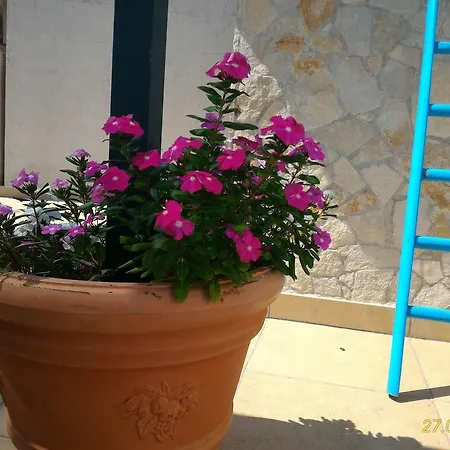 La Terrazza D'oriente Lecce