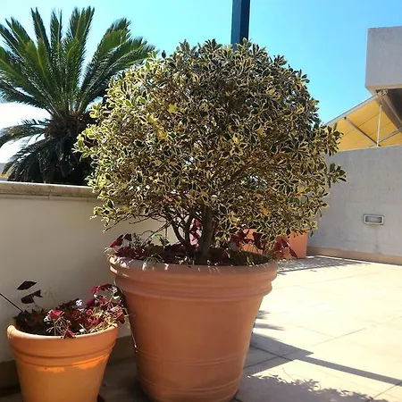 La Terrazza D'oriente Дом отдыха